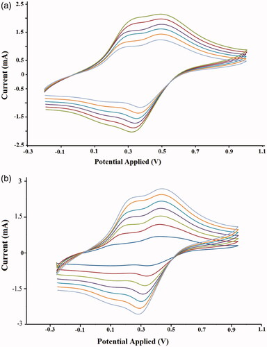 Figure 10. Cyclic voltammetry curves (CVs) of the chemically synthesized (a) homo-PANi (b) Fe3O4/PSt-g-PANi.