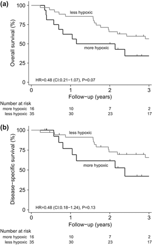 Figure 2. (A) Kaplan-Meier estimates of overall survival and (B) disease-specific survival among patients with a more hypoxic genotype and a less hypoxic genotype based on the 15 hypoxia-induced genes.