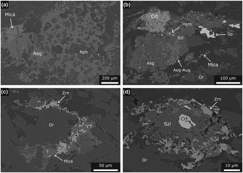 Figure 5. Backscattered electron images of mineral textures in foliated nundorite. (a) Poikiolitic aegirine with nepheline inclusions in sample MA0808. (b) Intergrown aegirine and aegirine-augite surrounded, and partly replaced by, hematite, sphalerite and clustered cerite-group minerals; sample MA0807. (c) Fine zircon and mica grains rimming microcline in sample MA0807. (d) Schizolite associated with zircon and cerite in sample MA0807. Mineral abbreviations: Aeg, aegirine; Aeg-Aug, aegirine-augite; Crt, cerite; Hem, hematite; Or, microcline; Sp, sphalerite; Szl, schizolite; Zrn, zircon.