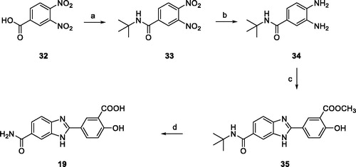 Scheme 4. (a) SOCl2, reflux, 2 h, then tert-butylamine, NEt3, THF, 0 °C to r.t., 18 h (84%); (b) ammonium formate, Pd/C 10%, MeOH, reflux, 2 h (94%); (c) 25e, NaHSO3, dry DMF, 80 °C, 18 h (72%); (d) DCM/TFA (1:1), r.t. 24 h, then LiOH, THF/H2O (1:1) r.t.,4 h (91%).