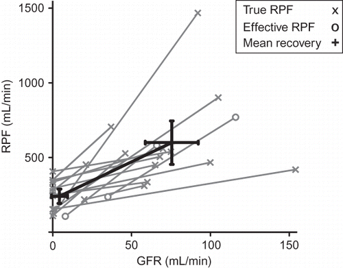 FIGURE 3.  RPF versus GFR in 15 patients with measurements during AKI and in recovery; 95% confidence intervals of mean RPF and GFR are shown.