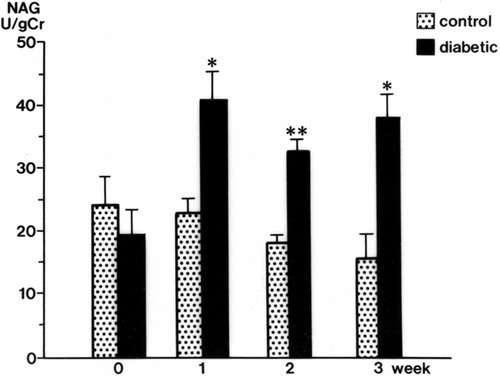 Figure 3. Urinary N-acetyl-β-D-glucosaminidase (NAG) levels in the control and diabetic rats. mean ± SE, *p < 0.001, **p < 0.01.