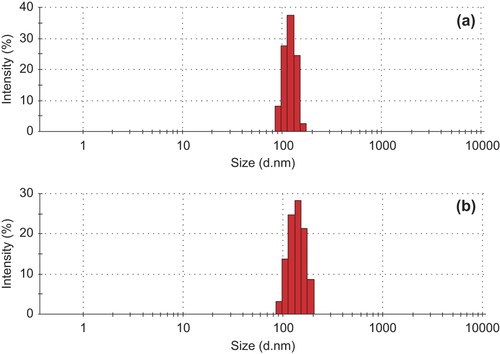 Figure 5. The size distribution of GA-CS-SA micelles and OXA-GA-CS-SA micelles.