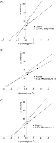 Figure 3.  Lineweaver–Burk plots for inhibitory activity of (A) compound 8, (B) compound 10, and (C) compound 11 on intestinal maltase.