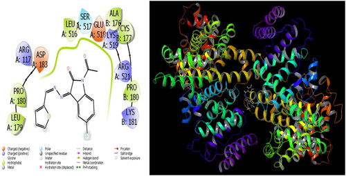 Figure 6. Presentation interactions of molecule 6 with 1A06 protein.