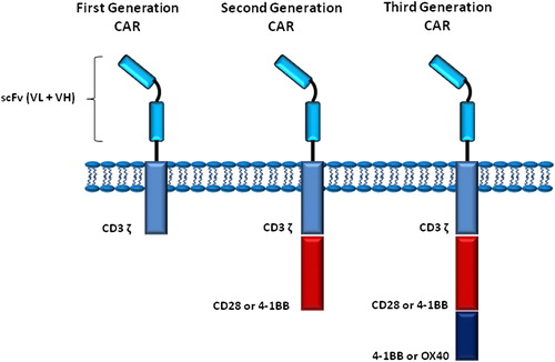 Figure 2. Different generations of CARs used in therapeutic approaches.