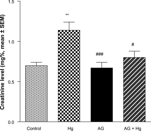 Figure 1 Effects of AGon elevated levels of serum creatinine induced by Hg.