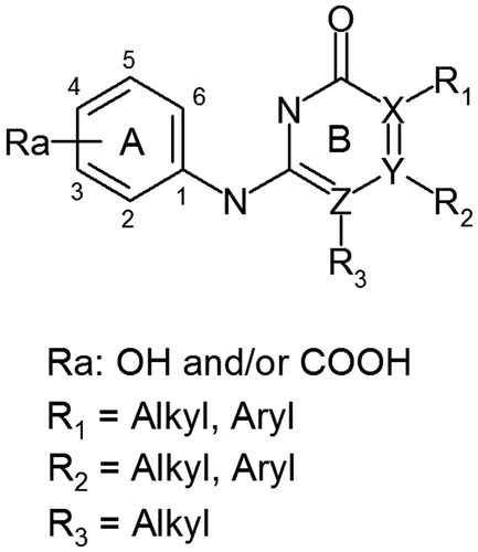 Figure 2. 2-Aminopyrimidinone scaffold.