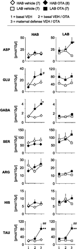 Figure 5 Effects of local OTA on the microdialysate concentrations of the amino acids aspartate, glutamate, GABA, serine, arginine, histidine and taurine within the CeA of lactating HAB and LAB dams, under basal conditions and in response to maternal defense. For details see Figure 4. Vehicle-treated control animals are the same as in Figure 2. Data are presented as mean + SEM. Numbers of rats are given in parenthesis. ##p < 0.01, # < 0.05 vs. basal sample 1 of the same group; **p < 0.01, *p < 0.05 vs. respective VEH.