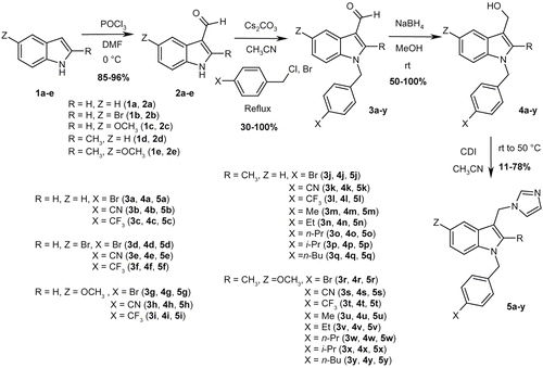 Figure 2.  Synthetic route used for the preparation of 3-(imidazol-1-ylmethyl)indoles 5a-y.