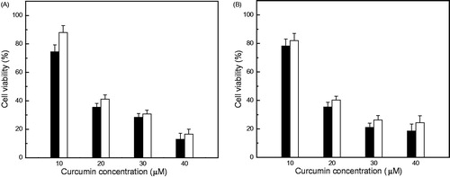 Figure 5. Cytotoxicity of free curcumin and Curc-NS. Cell viability of (A) Hela cells and (B) MDA-MB-231 cells exposed to different concentration of free curcumin (open bars) and Curc-NS (filled bars). Data are presented as mean and standard deviations of six repeats of each treatment group (P < 0.05).