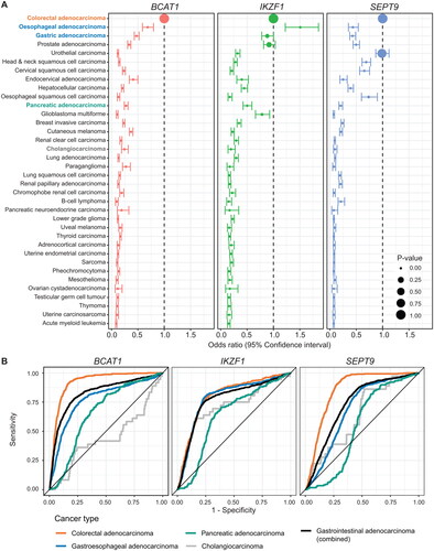 Figure 2. BCAT1, IKZF1 And SEPT9 methylation is more prevalent in gastrointestinal adenocarcinoma when compared to other cancer types. (A) Forest plots comparing methylation of BCAT1, IKZF1 and SEPT9 in different cancers relative to colorectal adenocarcinomas (n = 396 colorectal adenocarcinomas vs. 8601 other tumours). Data analyzed using beta regression. (B) Receiver operating characteristic curves summarizing the sensitivity and discriminatory ability (herein termed specificity) for BCAT1, IKZF1 and SEPT9 methylation in gastrointestinal adenocarcinomas over all other cancers described in (a).