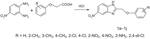 Scheme 1.  Synthesis of 5-nitro-2-aryl substituted phenoxymethyl-1H-benzimidazoles.