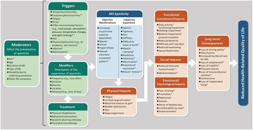 Figure 2. Integrated conceptual model of multiple sclerosis spasticity.*Variable not identified in literature review.†Variable not identified in clinician interviews.‡Variable not identified in patient interviews.Abbreviations: ADL = activities of daily living; GI = gastrointestinal; MS = multiple sclerosis.Triggers, MS Spasticity - Subjective Experience, Functional Limitations/Impacts, Social Impacts, Emotional/Psychological Impacts, and Long-term Consequences are listed in order of decreasing percentage of patients reporting the variable, as in Table 3.