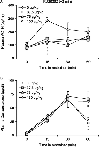 Figure 1.  RU28362 injected i.p. 2 min before the onset of restraint blunted the hormonal responses to restraint stress. All three doses blunted ACTH 15 min following the onset of restraint (A). There was no difference in corticosterone secretion until 60 min into the restraint period, when plasma corticosterone values in rats that received 75 and 150 μg/kg RU28362 returned to baseline levels (B). Values are group mean + SEM; n = 5–10 per group. *p < 0.05 vs. other group (A) or groups (B).