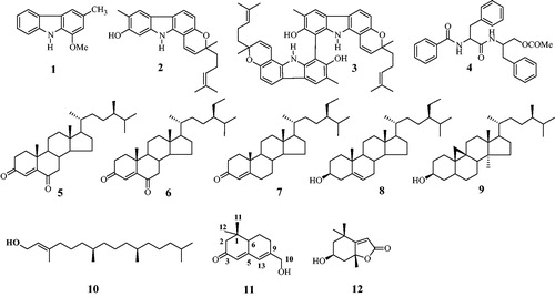 Figure 2. Structures of compounds 1–12 from the aerial parts of G. stenocarpa.