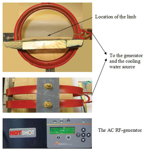 Figure 2. Experimental setup consists of an RF generator and a coil. The rat was placed on a platform and its limb was positioned so that the injection site was located at the center of the magnetic field. The limb was surrounding by ambient air during the experiment.