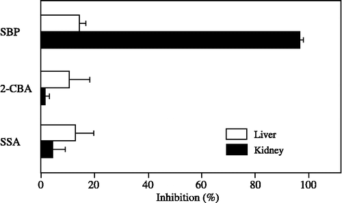 Figure 5 Inhibitory effects of specific inhibitors on 20α-HSD activity in cytosolic fractions from the liver and kidney of male mice. Progesterone at a concentration of 100 μM was used as the substrate. The concentration of specific inhibitors (SBP, 2-CBA and SSA) was 100 μM. SBP is a potent inhibitor of AKR1C20. 2-CBA and SSA are substrate inhibitors for AKR7A1 and AKR7A5. Each bar represents the mean ± SD of three experiments.