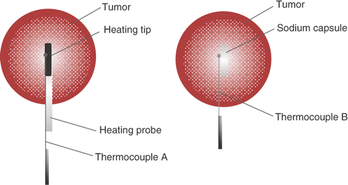 Figure 3. Schematic for positioning the thermocouple in the heat treatment group and the sodium treatment group, respectively.