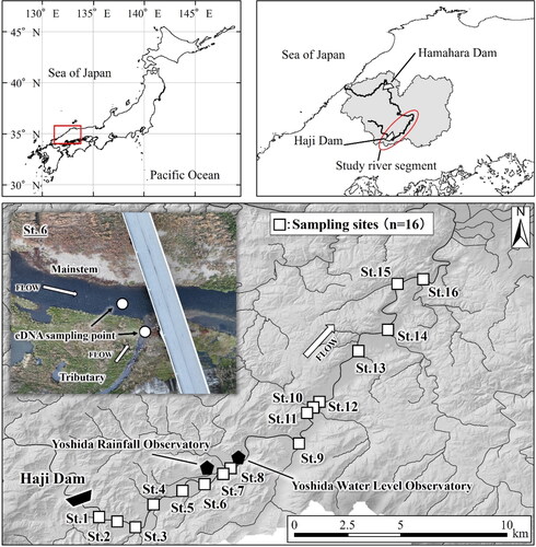Figure 1. Study sites in the Gonokawa River in Japan.