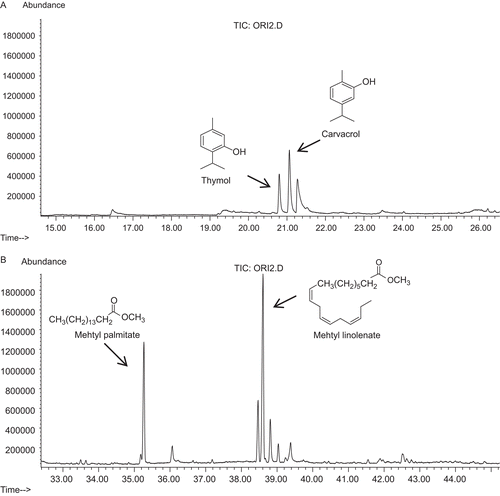 Figure 1.  Chromatograms of O. heracleoticum extract and structures of the major components: (A) terpenes and (B) fatty acids.