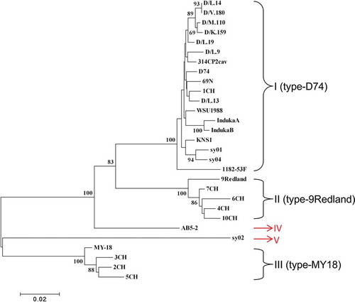 Fig. 2 (Colour online) A phylogenetic tree based on the coat protein (CP) nucleotide sequences of 28 Strawberry mild yellow edge virus (SMYEV) isolates retrieved from the NCBI database and AB5-2 determined in this study. The tree was reconstructed with MEGA 4.1 using the neighbour-joining method. The numbers at the nodes indicate the percentage of 1000 bootstraps occurring in this group. The scale bar represents the number of substitutions per nucleotide.