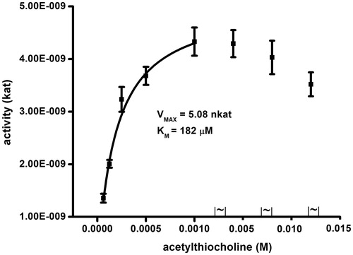 Figure 3. Saturation for human AChE and acetylthiocholine as a substrate. Error bars indicate standard deviations for n = 5.