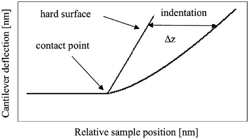 Figure 2. Scheme of elasticity measurements.