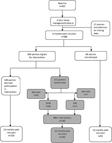 Figure 1. Flowchart of the patients throughout the study. Focus of this paper indicated in grey.