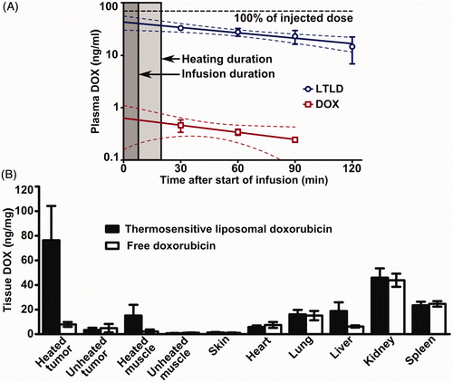 Figure 3. Plasma and tissue doxorubicin concentrations in tumour-bearing rabbits. (A) Blood samples collected prior to and at 30-min intervals after intravenous administration of lyso-thermosensitive liposomal doxorubicin (LTLD, n = 5) or free doxorubicin (n = 3). Peak concentrations, likely to have occurred at the end of the 6–7 min infusion (dark shading), could not be measured as this was during MRI-controlled focused ultrasound heating (light shading). Monoexponential fit is shown with 95% confidence interval. (B) Biodistribution of doxorubicin 2 h after intravenous injection of LTLD (n = 7) or free doxorubicin (n = 3). For both formulations rabbits were administered 2.5 mg doxorubicin/kg over 6–7 min during MRI-controlled focused ultrasound hyperthermia localised to one tumour and its surrounding muscle. Mean ± standard deviation of doxorubicin concentration shown.