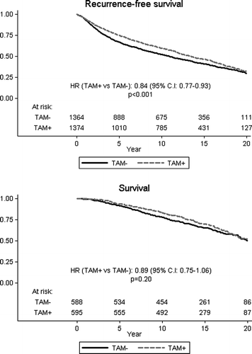 Figure 4.  Overall and event-free survival among ER positive, low risk risk patients according to allocated treatment.