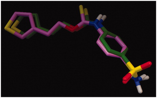 Figure 1. Overlap of bound ligand (green) extracted from crystal structure of hCA II (3K34) and its docked conformation (pink).