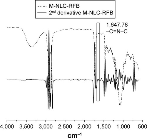 Figure 2 Second-derivative FT-IR spectra of M-NLC-RFB formulation.