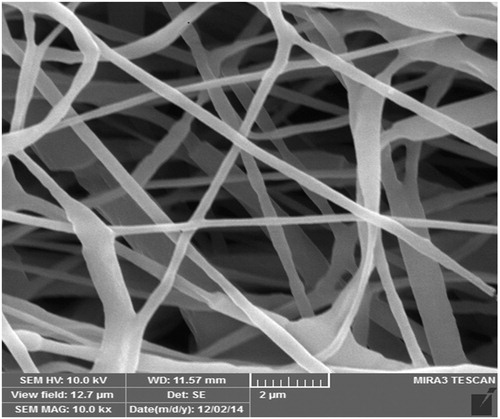 Figure 2. SEM image of PCL/PLA nanofibers.