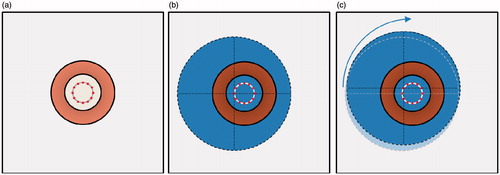 Figure 5. Top-down diagram of phantom positions during ECM-motion technique, note the phantom is positioned above the coil. (a) Coil position (copper coloured ring) shown with 12 positions for placement of the centre of the phantom. (b) Phantom (blue, dashed outline) in position 1, and (c) in position 2. Note that the phantom is simply translated to the next position and undergoes no rotation.