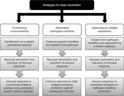 Figure 1 Summary of the principles employed in nasal vaccination strategies.