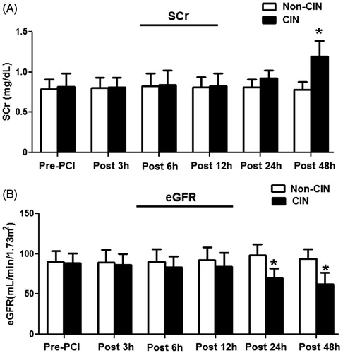 Figure 4. Dynamic changes in the SCr and eGFR values in study patients. Samples of fasting blood were collected from patients prior to and at 3, 6, 12, 24, and 48 h after their coronary artery procedure. Renal function was monitored by measuring SCr (A) and eGFR (B) in study patients. *p < 0.05, compared with patients without CIN.