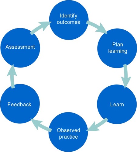 Figure 1 The learning cycle during clinical placements.