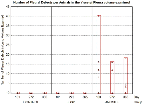 Figure 11.  The average number of pleural defects per field of view (average field of view was 0.0075 mm2) is shown for the air control, CSP, and amosite asbestos-exposed groups.