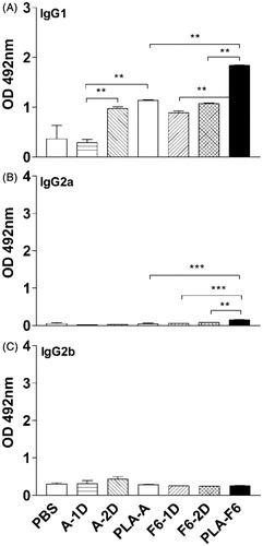 Figure 3. Levels of specific IgG subclasses in immunized Swiss mice. Sera were collected from blood of animals on day 35 p.f.a. of antigens. Specific IgG1 (A), IgG2a (B) and IgG2b (C) antibodies against BmA or F6 were determined by sandwich ELISA in serum of the animals immunized with BmA/F6 adsorbed on DL-PLA-Ms and one (A/F6-1D) or two doses of plain BmA/F6 (A/F6-2D) in PBS or PBS alone; absorbance was read at 492 nm. Values are mean ± SD of data from six animals in two experiments. Group abbreviations: A/F6-1D = plain BmA/F6- one dose; A/F6-2D = plain BmA/F6- two doses; PLA-A/F6 = DL-PLA-Ms-BmA/F6. Statistics were same as described above. p < 0.01. ***p < 0.001.
