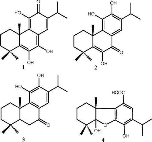 Figure 1 Abietane diterpenoids isolated from the polar fraction of Salvia hypargeia.