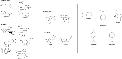 Figure 1. Chemical structures of the detected bioactive compounds.