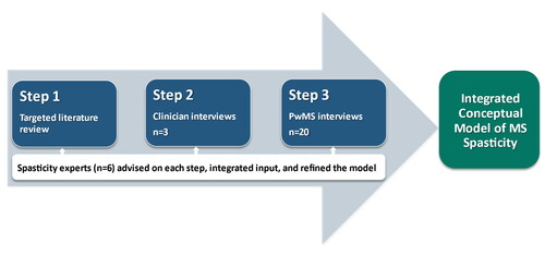 Figure 1. Steps in developing the integrated conceptual model of multiple sclerosis spasticity.PwMS = people with multiple sclerosis.