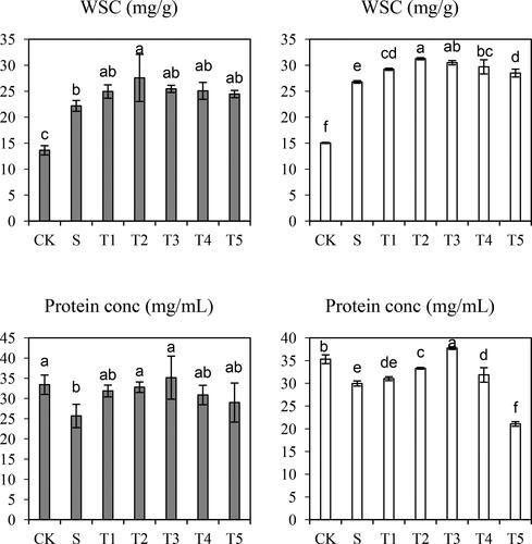 Figure 4. Effects of Salt (S) and Salt + SNP treatment (T) on water-soluble carbohydrate (WSC) and Protein Content in two wild barley cultivars. The gray bars indicate Saertu wild barley variety, and the white bars indicate the wild-type barley variety. Bars showed as mean values ± SD (n = 3). CK, non-treated control; T1–T5, see Table 1. Same lowercase letters indicate non-significant differences.