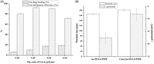 Figure 5. Drug entrapment efficiency (A) and drug release potential (B) of Cm-Au-PLGA-PSPE nanocomposites.