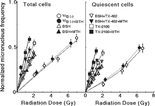 Figure 4. The normalized MN frequencies for thermal neutron irradiation as a function of the physically absorbed radiation dose in total and Q-tumour cells, respectively. Irradiation was performed following administration of no 10B-carrier, BSH (sodium borocaptate-10B), both TX-402 (3-amino-2-quinoxalinecarbonitrile1, 4-dioxide) and BSH or TX-2100 with or without mild temperature hyperthermia (MTH, 40°C, 30 min). Bars represent standard deviations.