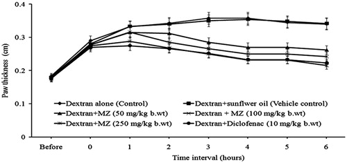 Figure 2. Effect of MZ on dextran-induced paw edema formation.