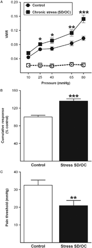 Figure 3.  Chronic psychosocial stress alters the visceral sensitivity to CRD. (A) Chronic SD/OC induced increased visceral pain responses 24 h following the last stress session. The increase in the VMR (expressed as pressure changes in the balloon in response to CRD) in the stress group was significant for distension pressures of 25, 40, 65 and 80 mmHg, compared with the control group. The broken lines represent the basal activity. (B) Overall response to CRD. Values are expressed as percentage change of control group (set as 100%). SD/OC mice showed a significant increase in the overall response to CRD when compared with the control group. (C) Pain threshold to CRD. SD/OC mice exhibited a significantly lower pain threshold to CRD, compared with the control group. N = 12 mice per group. Data are expressed as mean ± SEM. *p < 0.05, **p < 0.01 and ***p < 0.001 vs. control mice (two-tailed Student's t-test).