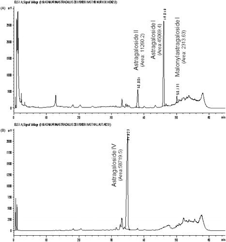 Figure 3. HPLC-ELSD chromatograms of the methanol extract (accelerated extraction) of Astragali Radix before (A) and after (B) treatment with ammonia R (four washing steps).