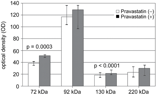 Figure 2.  Analysis of serum gelatinase activity. White and gray columns represent the activity of MMP-2 (72 kDa) and MMP-9 (92, 130 and 200 kDa) after incubation without or with pravastatin. Median value and 1st-3rd quartiles. Wilcoxon test.